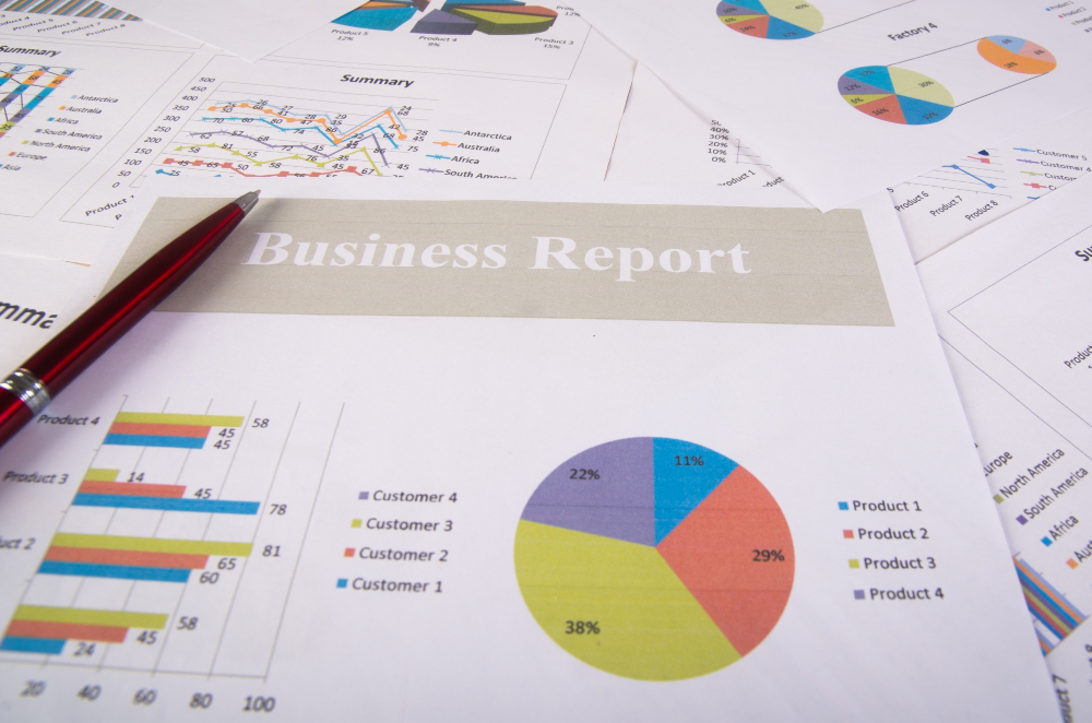 Monthly Business Report